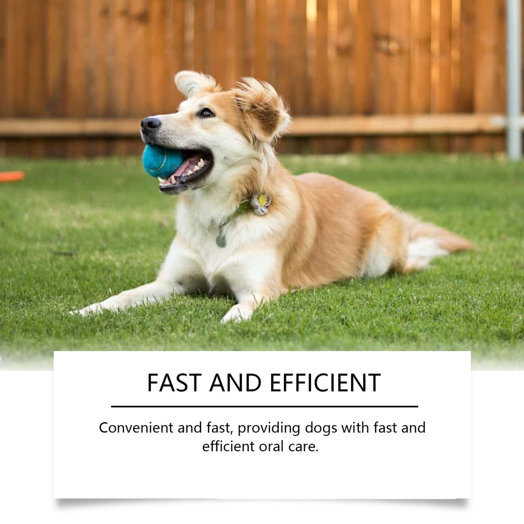 49240c2f730075817acf44b47d1b5858